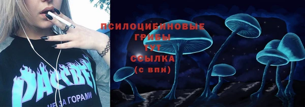 мяу мяу кристалл Богданович