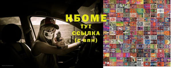 шишки Беломорск