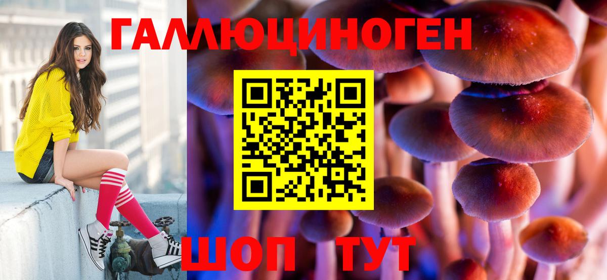 Псилоцибиновые грибы Psilocybine cubensis  Вход с VPN  Вязьма 